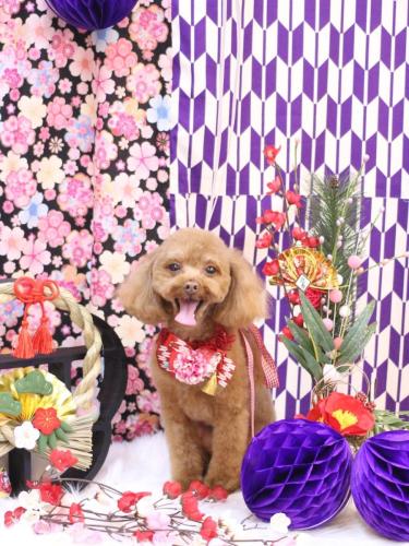 20250111このはちゃん